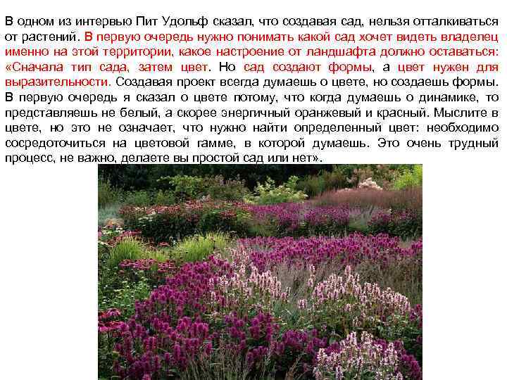 В одном из интервью Пит Удольф сказал, что создавая сад, нельзя отталкиваться от растений.
