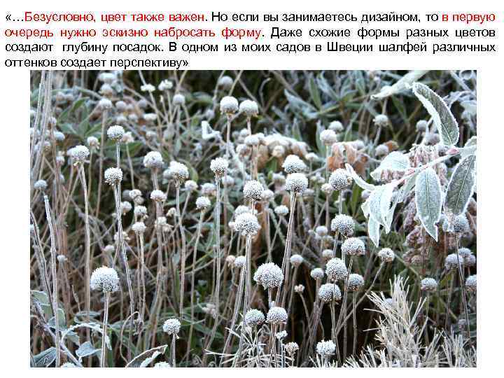  «…Безусловно, цвет также важен. Но если вы занимаетесь дизайном, то в первую очередь