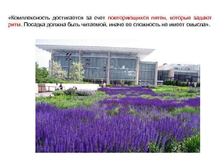  «Комплексность достигается за счет повторяющихся пятен, которые задают ритм. Посадка должна быть читаемой,