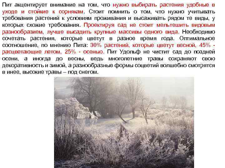 Пит акцентирует внимание на том, что нужно выбирать растения удобные в уходе и стойкие