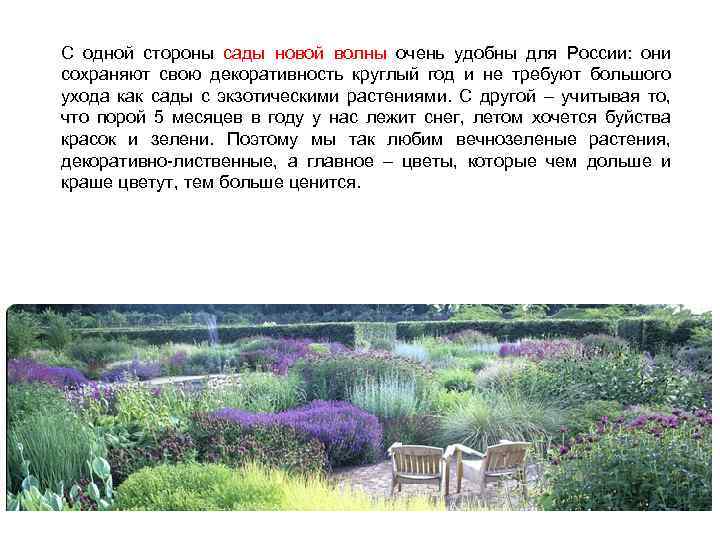 С одной стороны сады новой волны очень удобны для России: они сохраняют свою декоративность