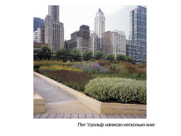 Пит Удольф написал несколько книг 
