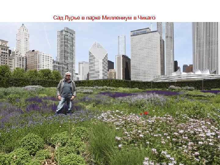  Сад Лурье в парке Миллениум в Чикаго 