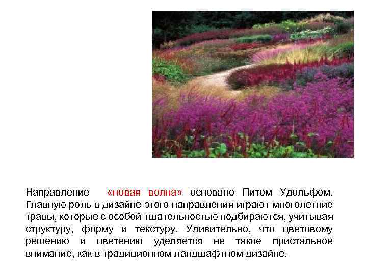 Направление «новая волна» основано Питом Удольфом. Главную роль в дизайне этого направления играют многолетние