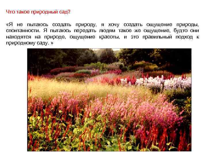Что такое природный сад? «Я не пытаюсь создать природу, я хочу создать ощущение природы,