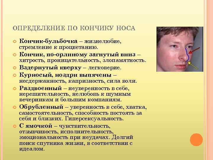 ОПРЕДЕЛЕНИЕ ПО КОНЧИКУ НОСА Кончик-бульбочка – жизнелюбие, стремление к процветанию. Кончик, по-орлиному загнутый вниз