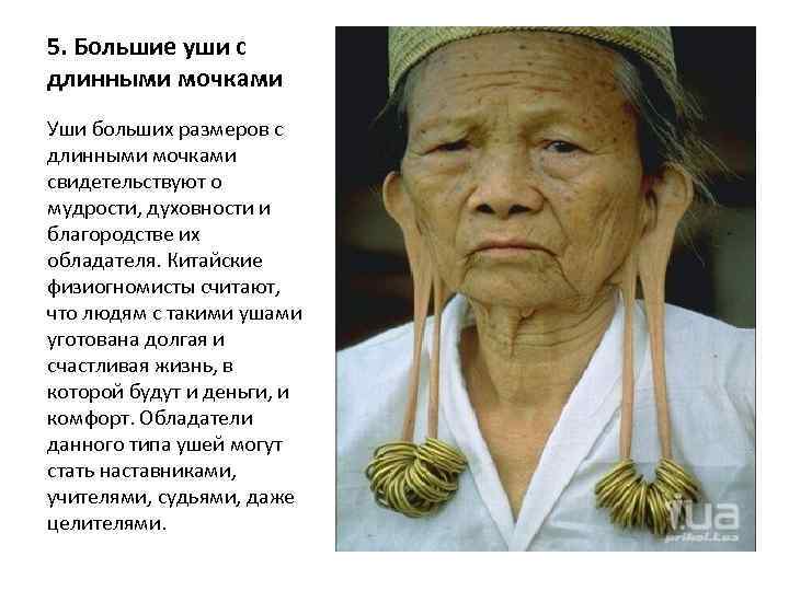 5. Большие уши с длинными мочками Уши больших размеров с длинными мочками свидетельствуют о