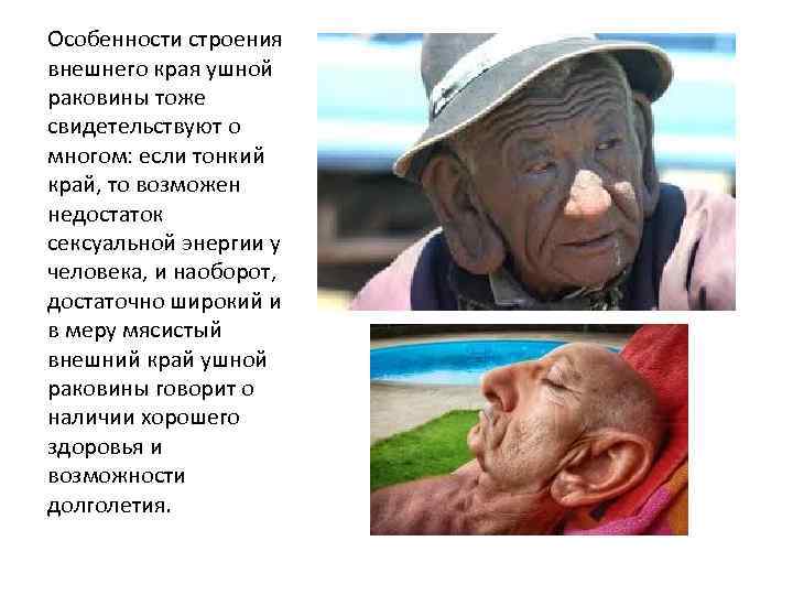 Особенности строения внешнего края ушной раковины тоже свидетельствуют о многом: если тонкий край, то