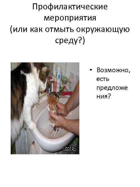Профилактические мероприятия (или как отмыть окружающую среду? ) • Возможно, есть предложе ния? 