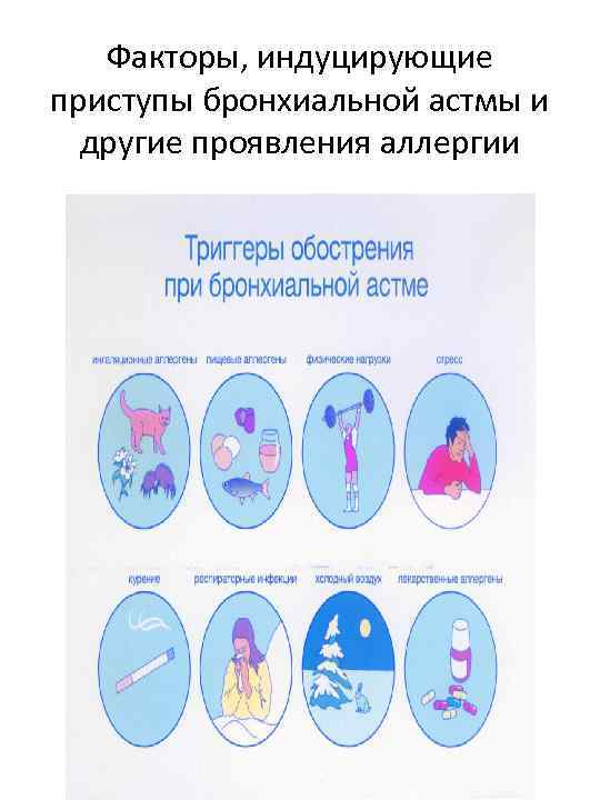 Факторы, индуцирующие приступы бронхиальной астмы и другие проявления аллергии 