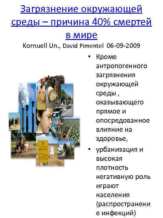 Загрязнение окружающей среды – причина 40% смертей в мире Kornuell Un. , David Pimentel