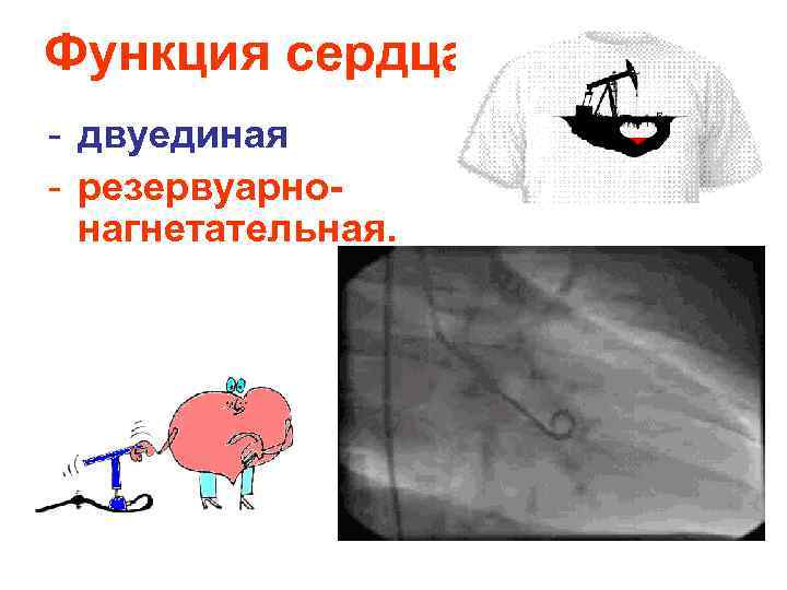 Электрофизиология сердца презентация