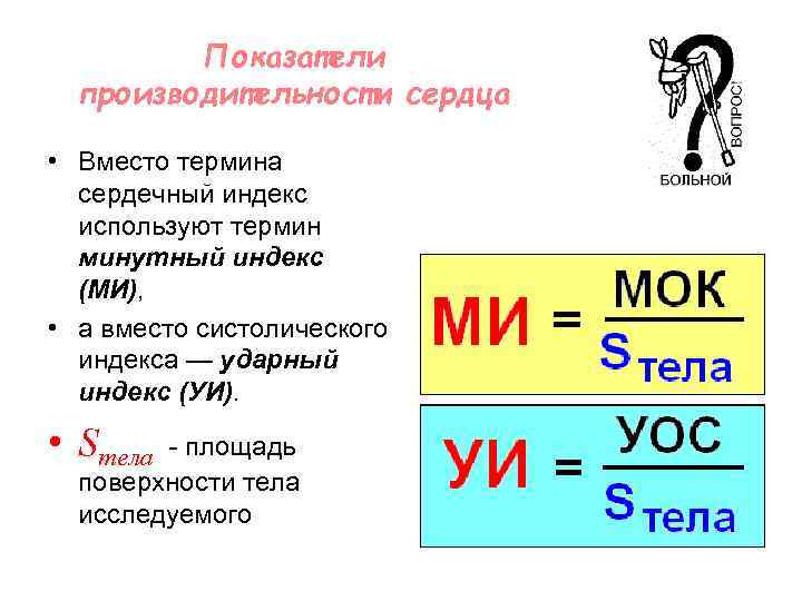 Показатели производительности сердца • Вместо термина сердечный индекс используют термин минутный индекс (МИ), •