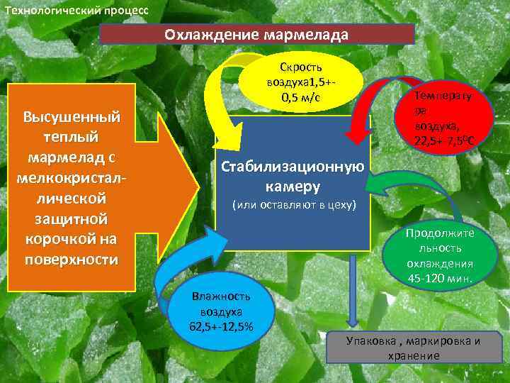 Технологический процесс Охлаждение мармелада Скрость воздуха 1, 5+0, 5 м/с Высушенный теплый мармелад с