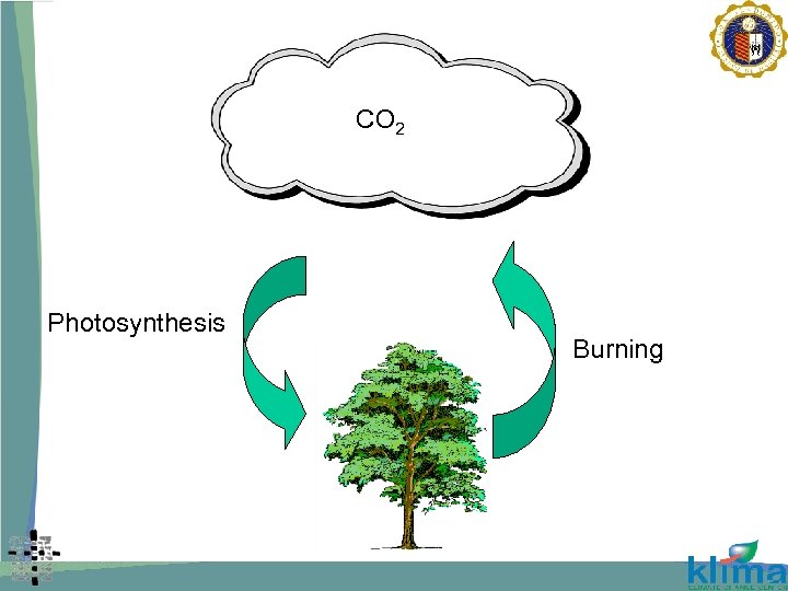 CO 2 Photosynthesis Burning 