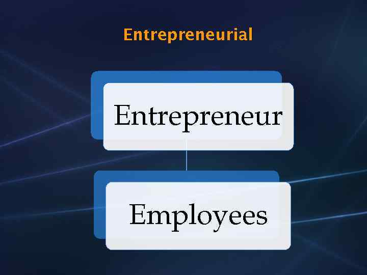 Entrepreneurial Entrepreneur Employees 