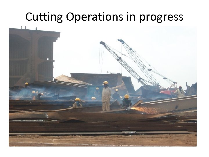 Cutting Operations in progress 