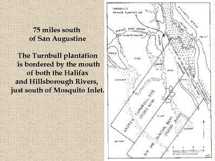 75 miles south of San Augustine The Turnbull plantation is bordered by the mouth