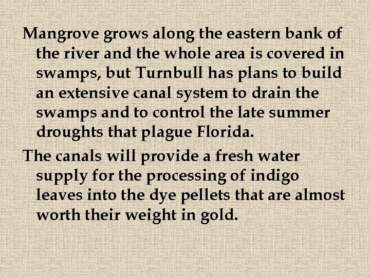 Mangrove grows along the eastern bank of the river and the whole area is