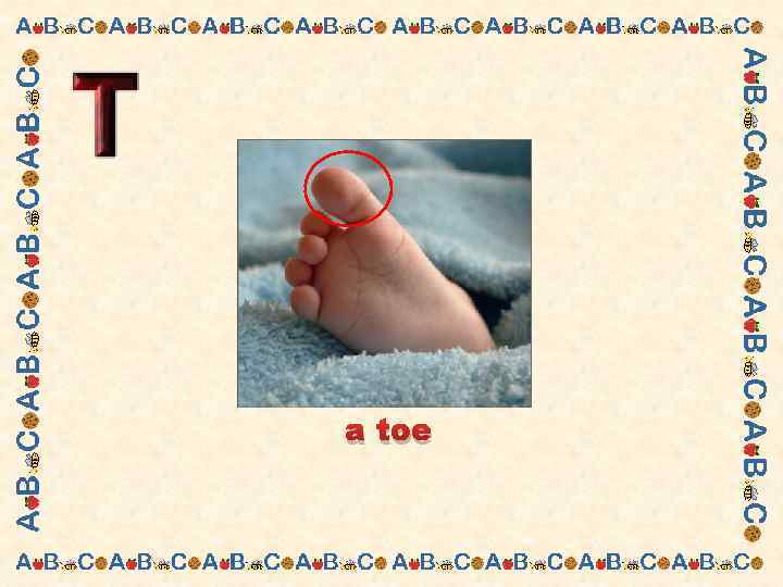 a toe 