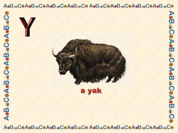 a yak 