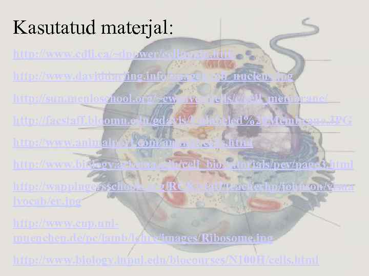Kasutatud materjal: http: //www. cdli. ca/~dpower/cell/main. htm http: //www. daviddarling. info/images/cell_nucleus. jpg http: //sun.
