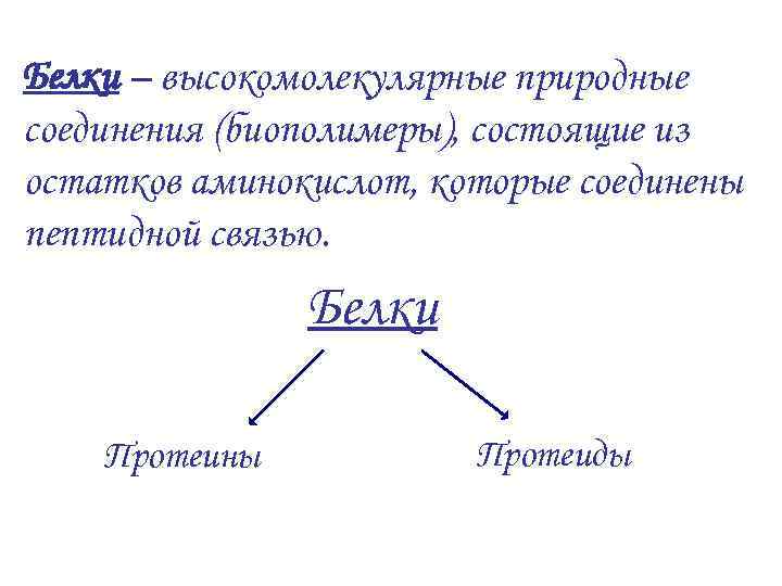 Белки – высокомолекулярные природные соединения (биополимеры), состоящие из остатков аминокислот, которые соединены пептидной связью.