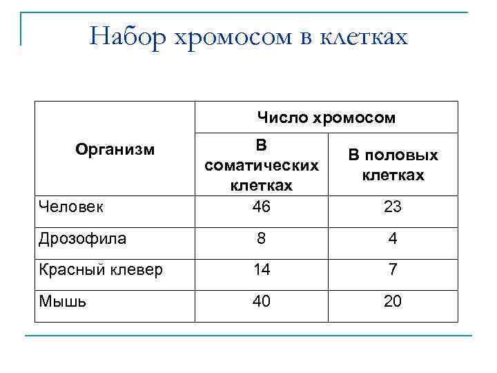 Набор хромосом в клетках Число хромосом Организм Человек В соматических клетках 46 В половых