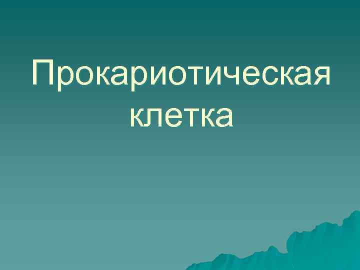 Прокариотическая клетка 