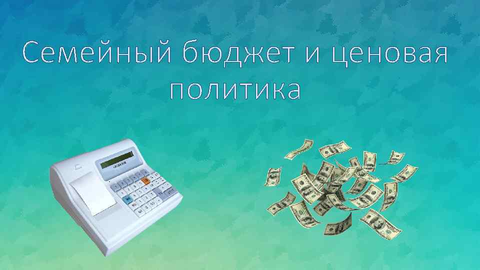 Семейный бюджет и ценовая политика 