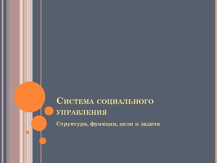 СИСТЕМА СОЦИАЛЬНОГО УПРАВЛЕНИЯ Структура, функции, цели и задачи 