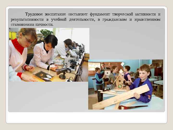 Трудовое воспитание составляет фундамент творческой активности и результативности в учебной деятельности, в гражданском и
