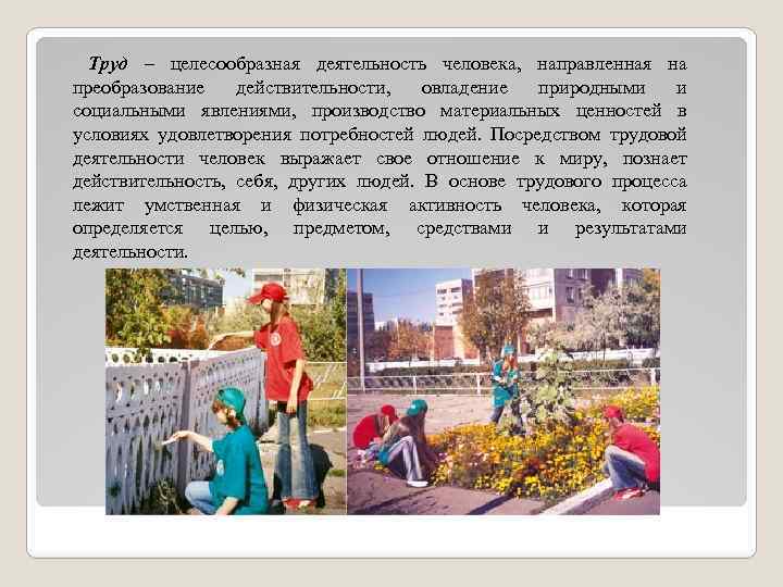 Труд – целесообразная деятельность человека, направленная на преобразование действительности, овладение природными и социальными явлениями,