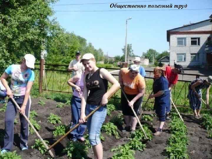 Общественно полезный труд 
