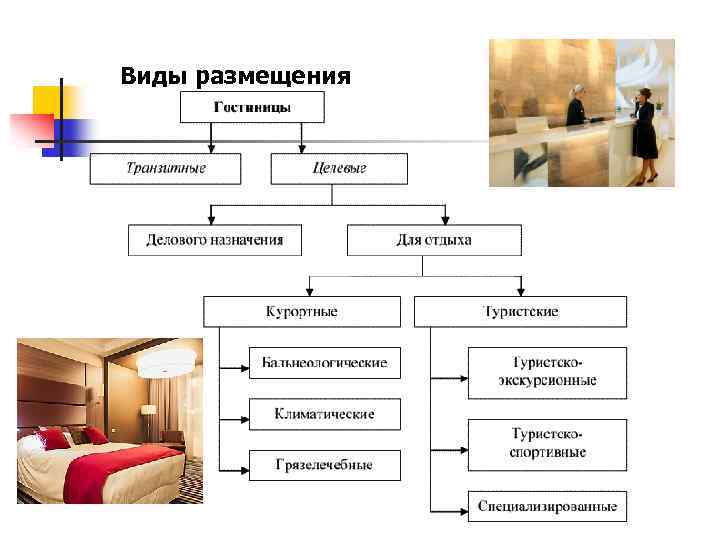 Виды размещения 