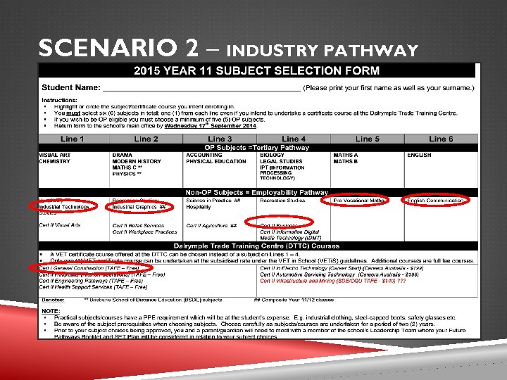 SCENARIO 2 – INDUSTRY PATHWAY 