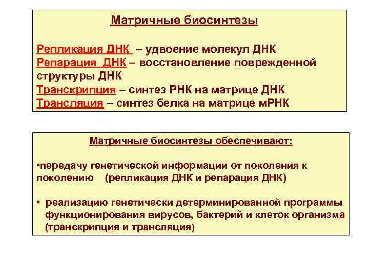 Матричные биосинтезы Репликация ДНК – удвоение молекул ДНК Репарация ДНК – восстановление поврежденной структуры