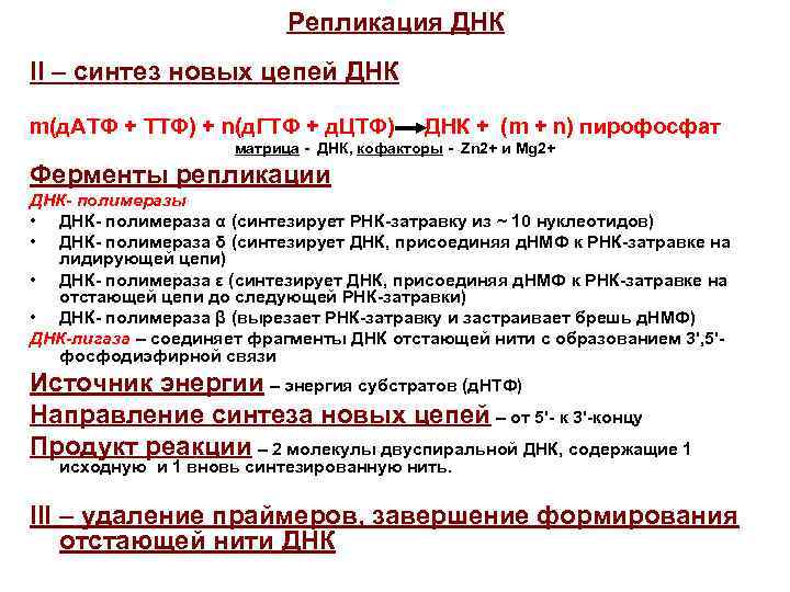 Репликация ДНК II – синтез новых цепей ДНК m(д. АТФ + ТТФ) + n(д.