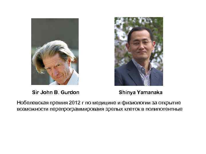 Sir John B. Gurdon Shinya Yamanaka Нобелевская премия 2012 г по медицине и физиологии