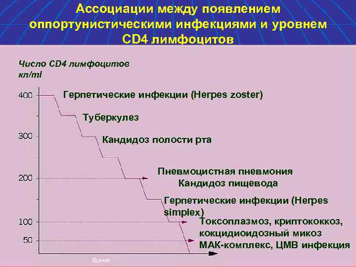 Ассоциации между появлением оппортунистическими инфекциями и уровнем CD 4 лимфоцитов Число CD 4 лимфоцитов