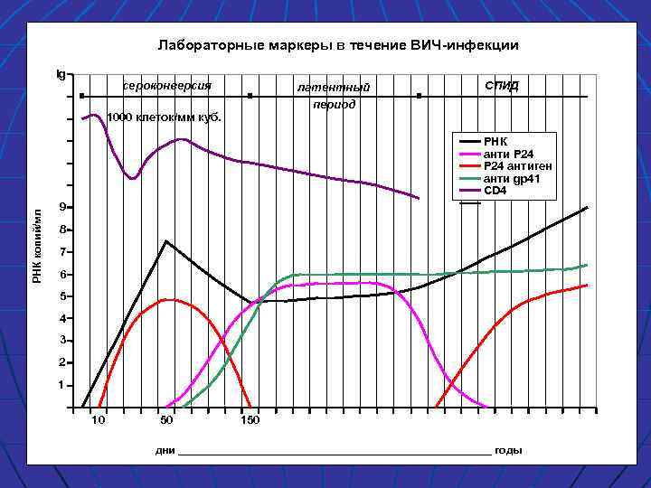 Лабораторные маркеры в течение ВИЧ-инфекции lg сероконверсия латентный период 1000 клеток/мм куб. СПИД РНК