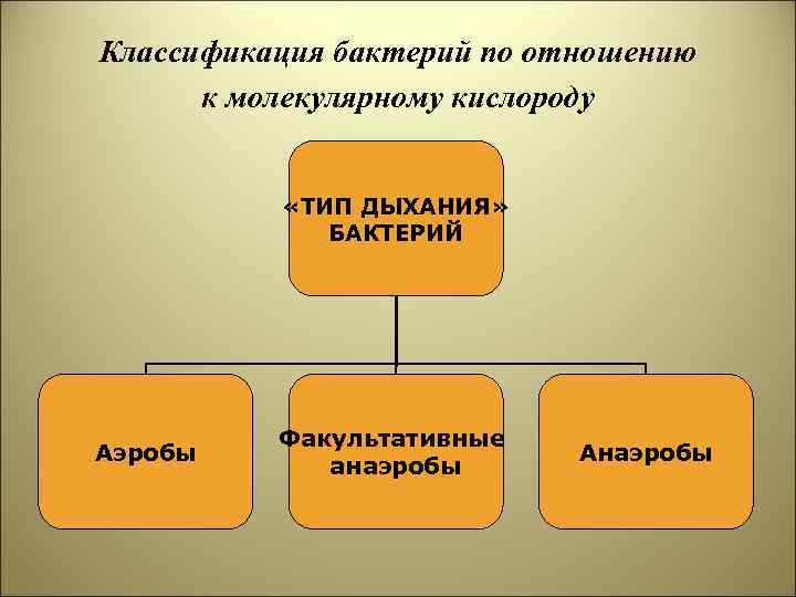 Отношение к кислороду. Классификация бактерий по кислороду. Классификация микроорганизмов по отношению к кислороду. Классификация бактерий по отношению к кислороду. Классификация организмов по типу дыхания.