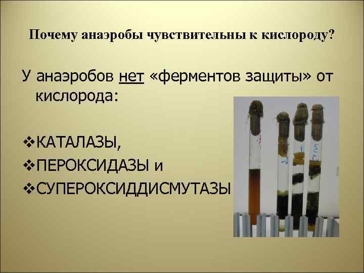 Почему анаэробы чувствительны к кислороду? У анаэробов нет «ферментов защиты» от кислорода: v. КАТАЛАЗЫ,