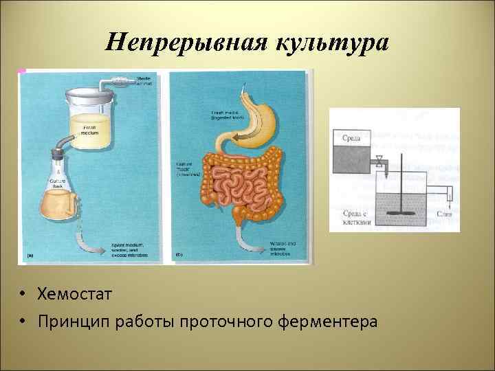 Непрерывная культура • Хемостат • Принцип работы проточного ферментера 