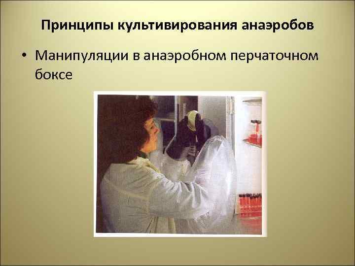 Принципы культивирования анаэробов • Манипуляции в анаэробном перчаточном боксе 