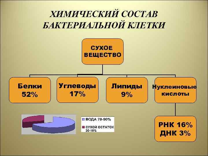 ХИМИЧЕСКИЙ СОСТАВ БАКТЕРИАЛЬНОЙ КЛЕТКИ СУХОЕ ВЕЩЕСТВО Белки 52% Углеводы 17% Липиды 9% Нуклеиновые кислоты