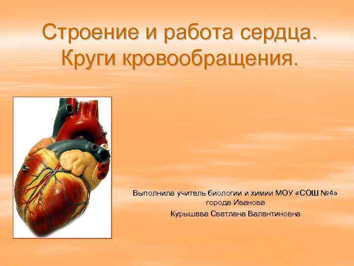Строение и работа сердца. Круги кровообращения. Выполнила учитель биологии и химии МОУ «СОШ №