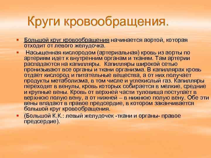 Круги кровообращения. § Большой круг кровообращения начинается аортой, которая отходит от левого желудочка. §
