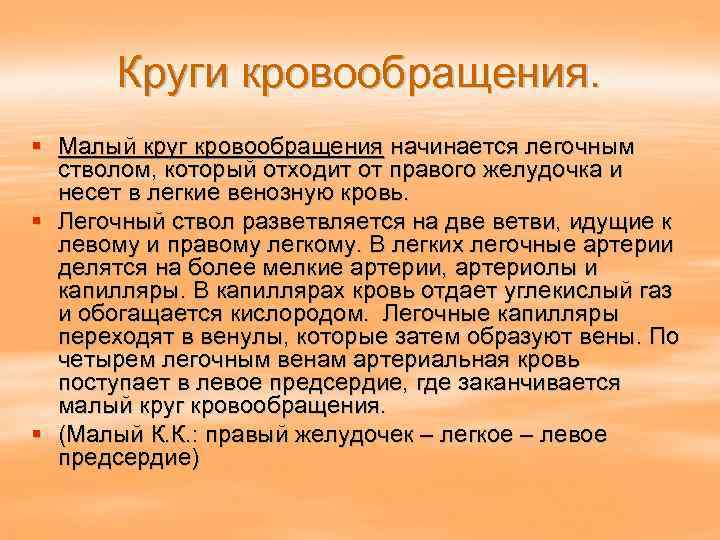 Круги кровообращения. § Малый круг кровообращения начинается легочным стволом, который отходит от правого желудочка
