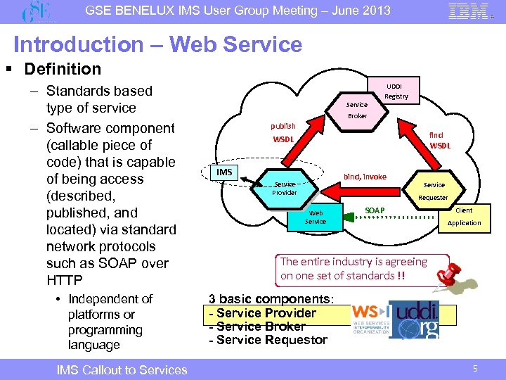 GSE BENELUX IMS User Group Meeting – June 2013 Introduction – Web Service §